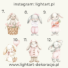 Figurki Królik Figurki Królik